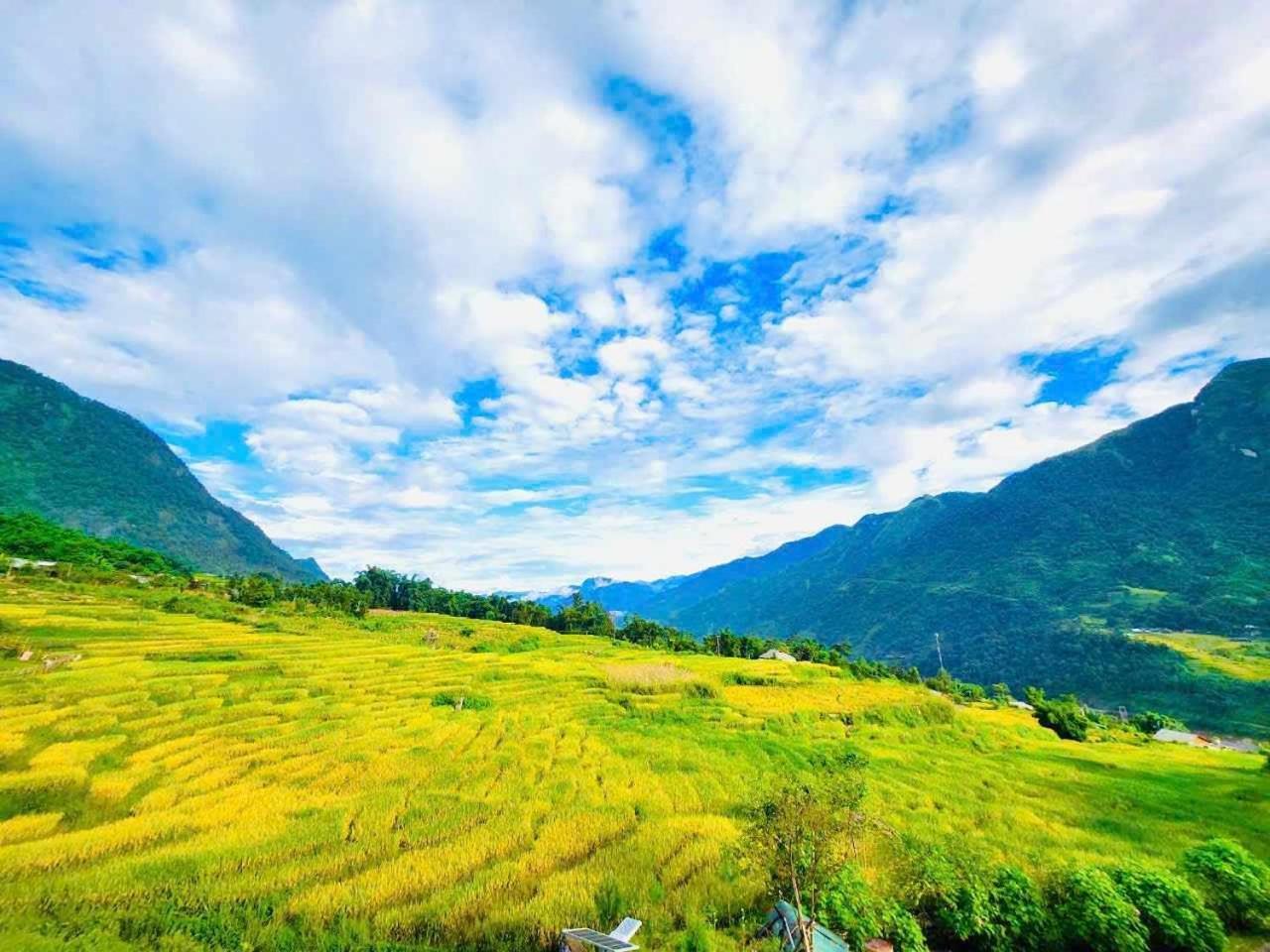 My Garden Villa سابا المظهر الخارجي الصورة